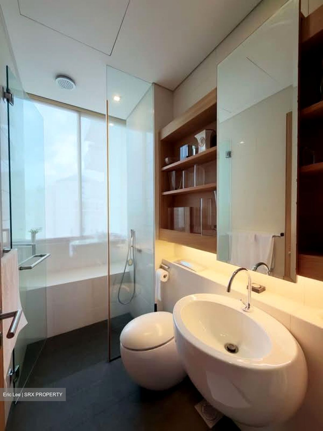 The Boulevard Residence (D10), Apartment #557291231